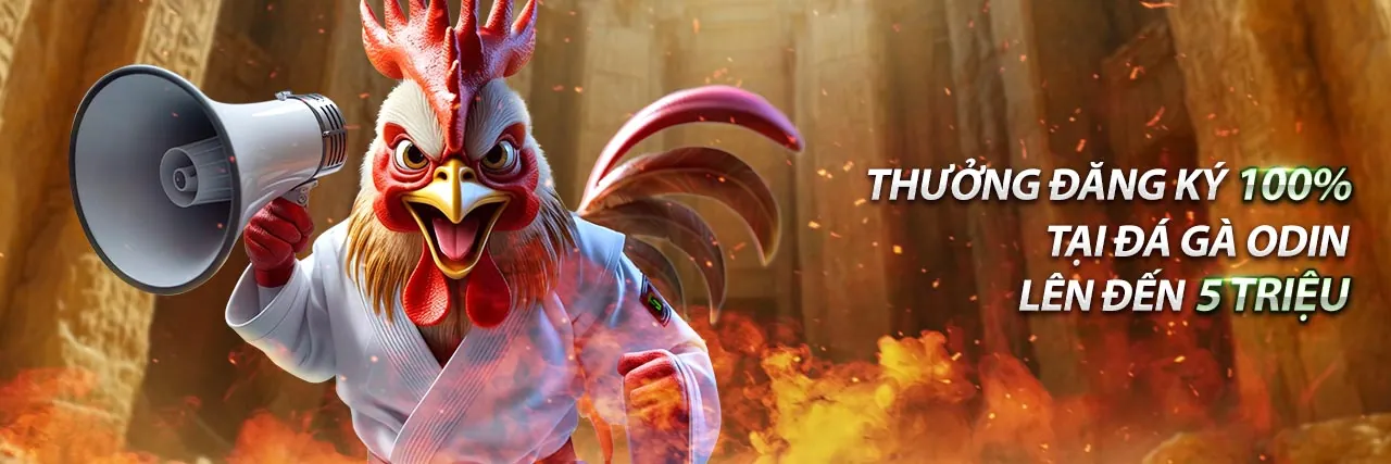 Chuyên gia phân tích dữ liệu thể thao tại Soi Kubet